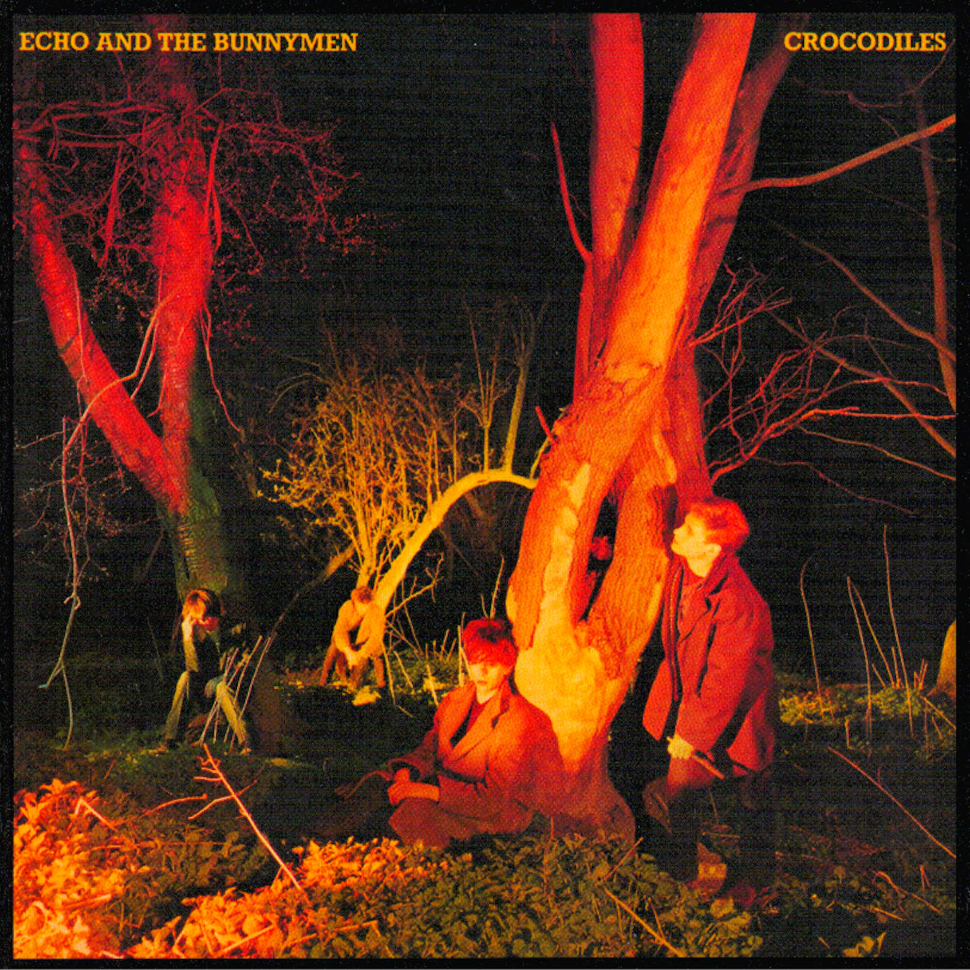 ECHO AND THE BUNNYMEN