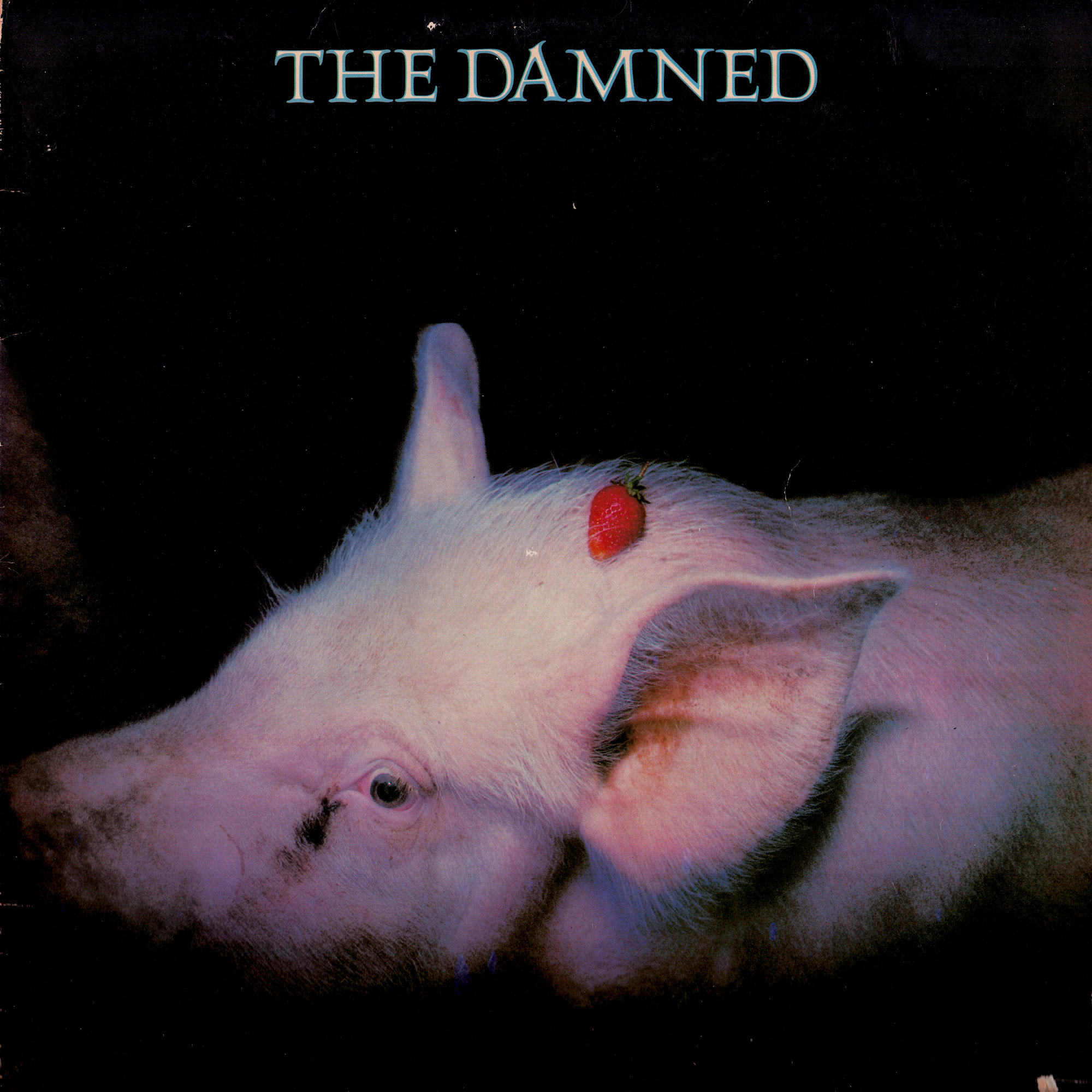 THE DAMNED